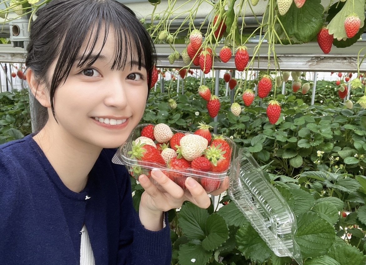 今回の企画では、兵庫県の可愛い制服を着て踊るというもの！
地元でも見た事のある制服ばかりですごく新鮮やった〜みんなが地元に来たような…笑笑
私が着た制服はすごく可愛いと昔から定評があった学校で、袖を通すことが出来て嬉しかったよ😊